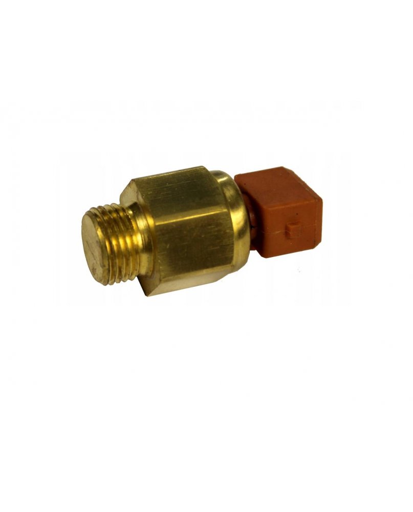 Czujnik Tem. Wody - Blok/głowica