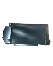 Chłodnica JCB - ORG