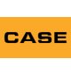 CASE